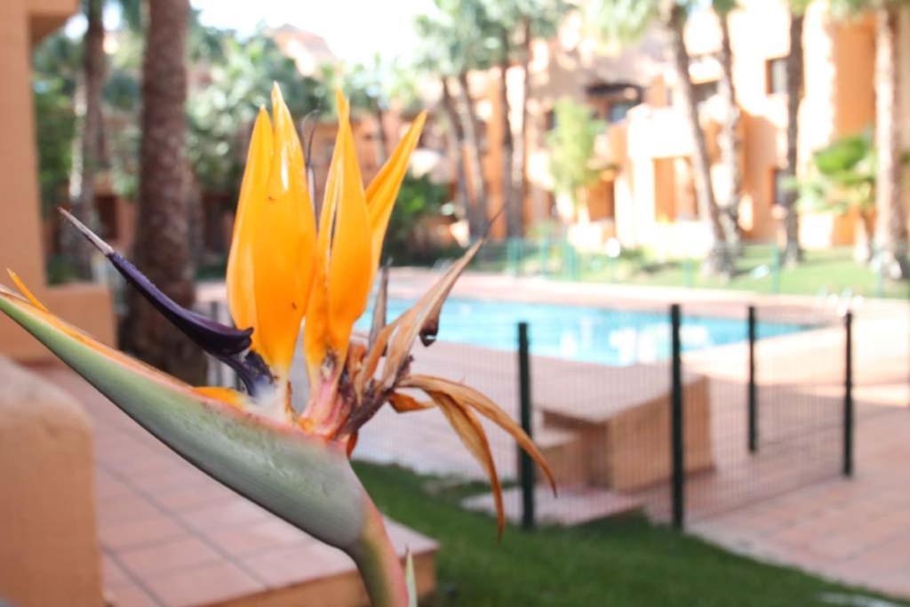 Apartment Casa Hermana